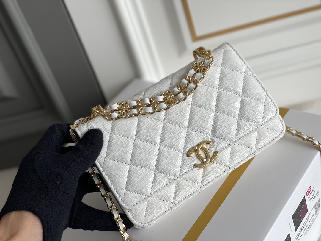 Chanel WOC Bags